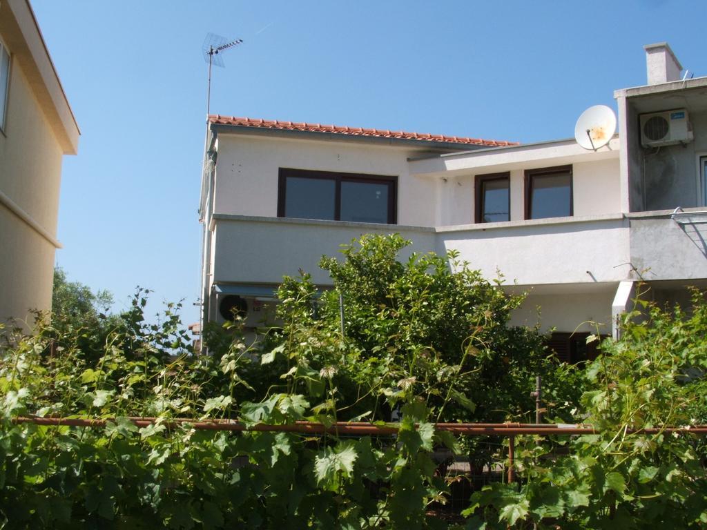 Apartments Maslina Božava Стая снимка